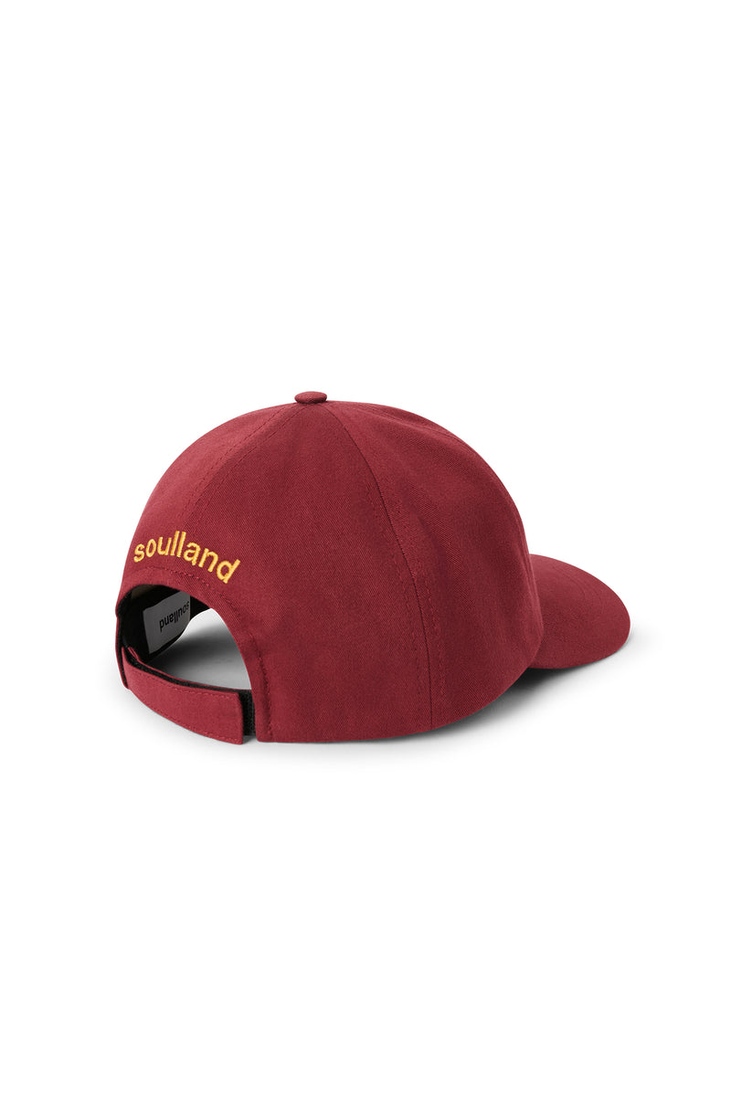 IDE cap bow logo — alternate view