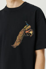 SOULLAND KAI PEACOCK T-shirt T-shirt Black