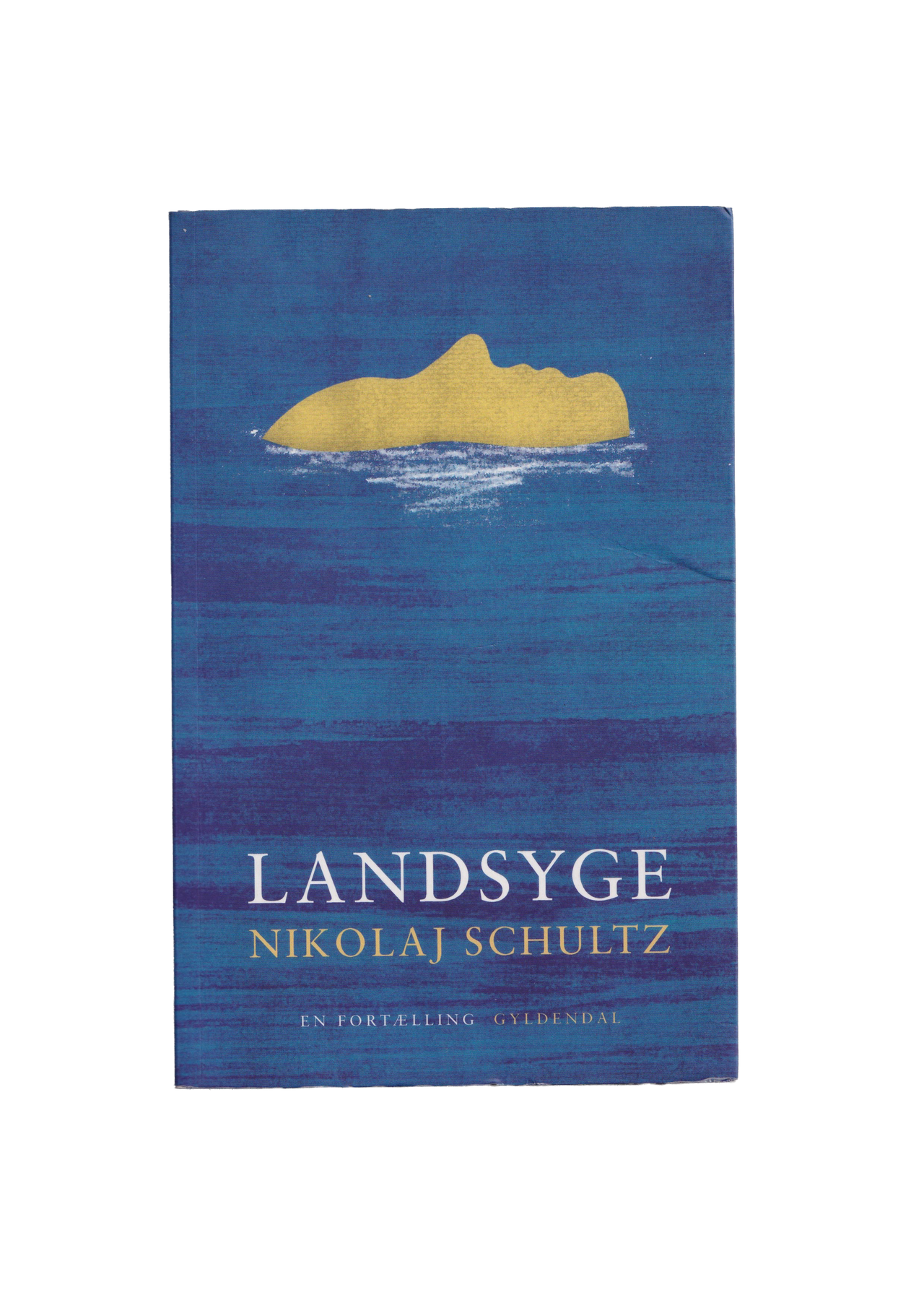 Landsyge