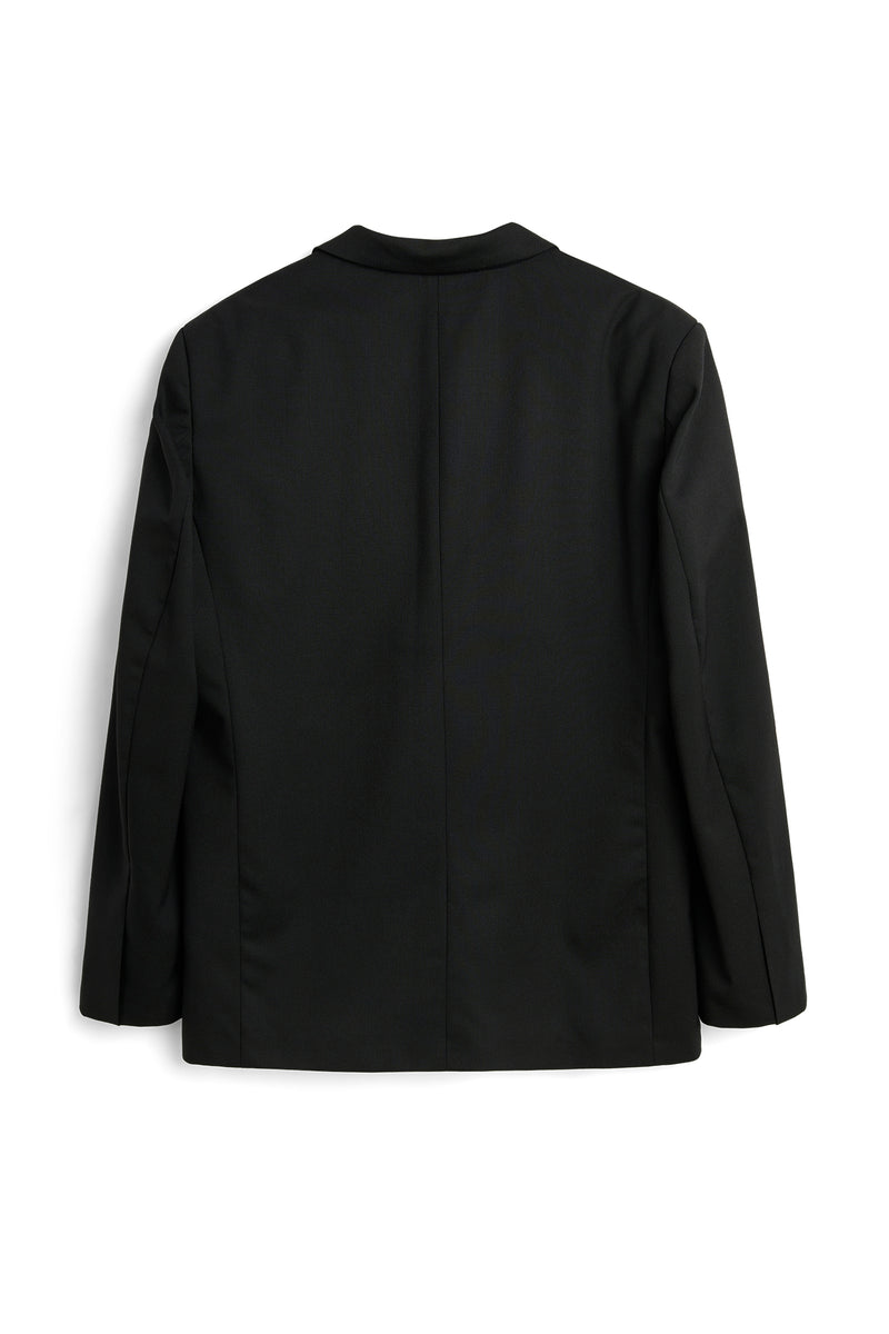 LUCA solid — alternate view